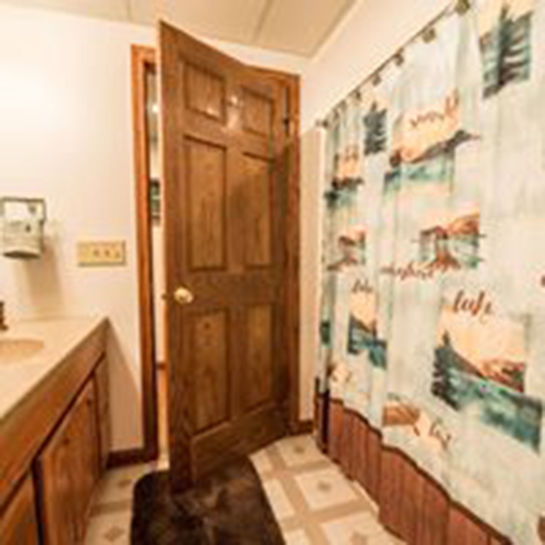 cropped bathroom with shower curtain and wooden door